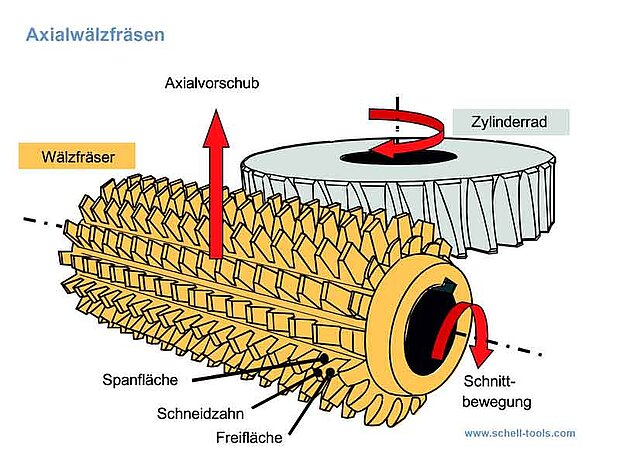 Hobbing is a machining process for gear cutting, cutting splines, and cutting sprockets on a hobbing machine, which is a special type of milling machine. The teeth or splines of the gear are progressively cut into the material (a flat, cylindrical piece of metal) by a series of cuts made by a cutting tool called a hob. Compared to other gear forming processes it is relatively inexpensive but still quite accurate, thus it is used for a broad range of parts and quantities.