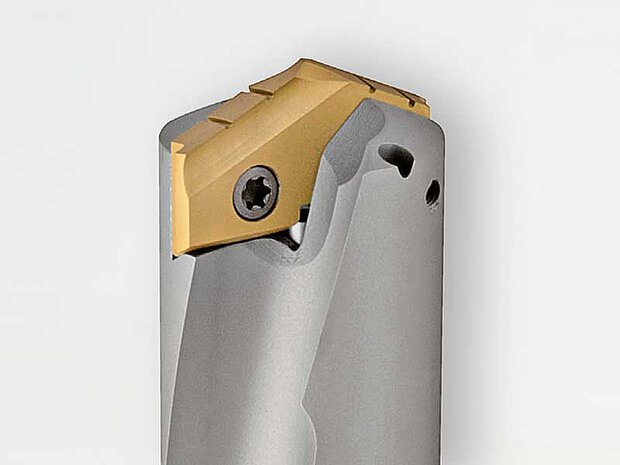 Multiplex solid carbide removable inserts drills